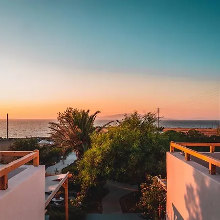 Ecoxenia 3*