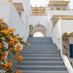 Ecoxenia