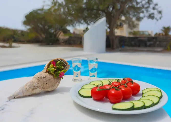 Apart Otel Ecoxenia Oia